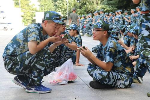 军人吃瓜有什么风险,揭秘潜在风险与应对策略