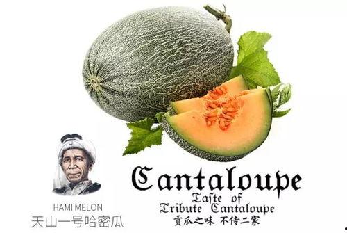 老强吃瓜,揭秘娱乐圈那些不为人知的幕后故事