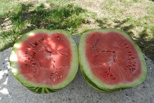 梦见买瓜皮吃瓜,揭秘买瓜皮吃瓜的神秘寓意