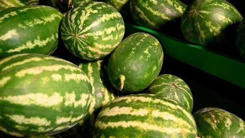 内蒙网红吃瓜事件