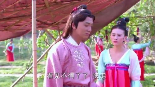 宫女妃子吃瓜,宫女妃子们的吃瓜日常