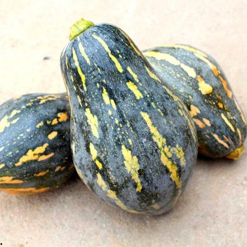 孕妇吃甜宝瓜,甜宝瓜的营养益处与食用指南