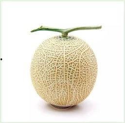 一瓜两吃吗,创意烹饪新风尚