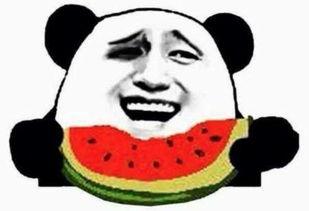 吃瓜群众录像,揭秘幕后故事