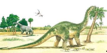 绿色吃瓜恐龙图片,揭秘绿色吃瓜恐龙的奇幻世界