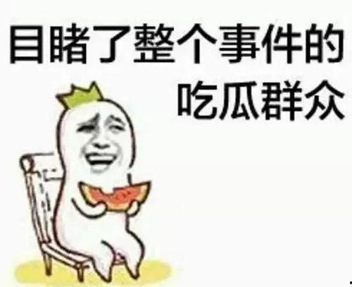 吃瓜群众李叔,吃瓜群众的智慧与幽默