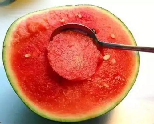 吃瓜群众樱花校园全部都是吃瓜的,一片吃瓜盛地，笑谈青春岁月