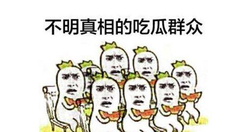 鲁r优秀吃瓜群众,揭秘娱乐圈幕后风云