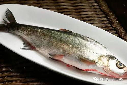 内鱼吃瓜单位,揭秘网络热点的幕后故事